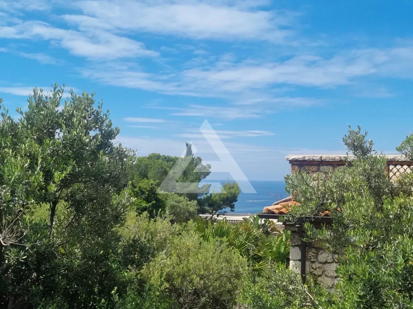 CAP D'AIL - APPARTEMENT SPACIEUX - DERNIER ETAGE AVEC JARDIN