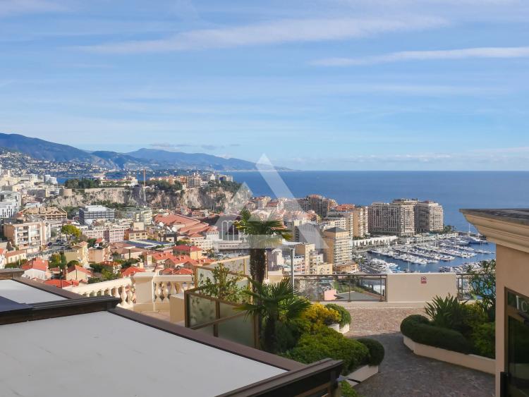 CAP D'AIL - 2P VUE MER - FRONTIERE MONACO